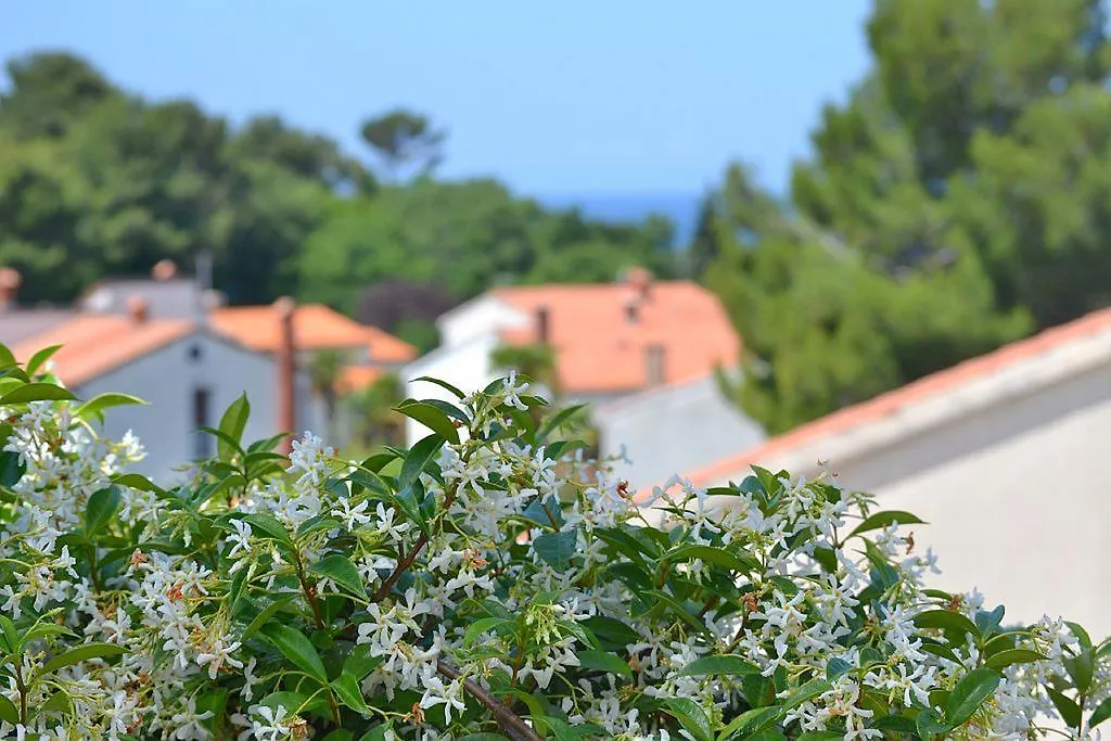 Apartments Zomzi Porec